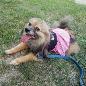 Meet your Posher, Jessica